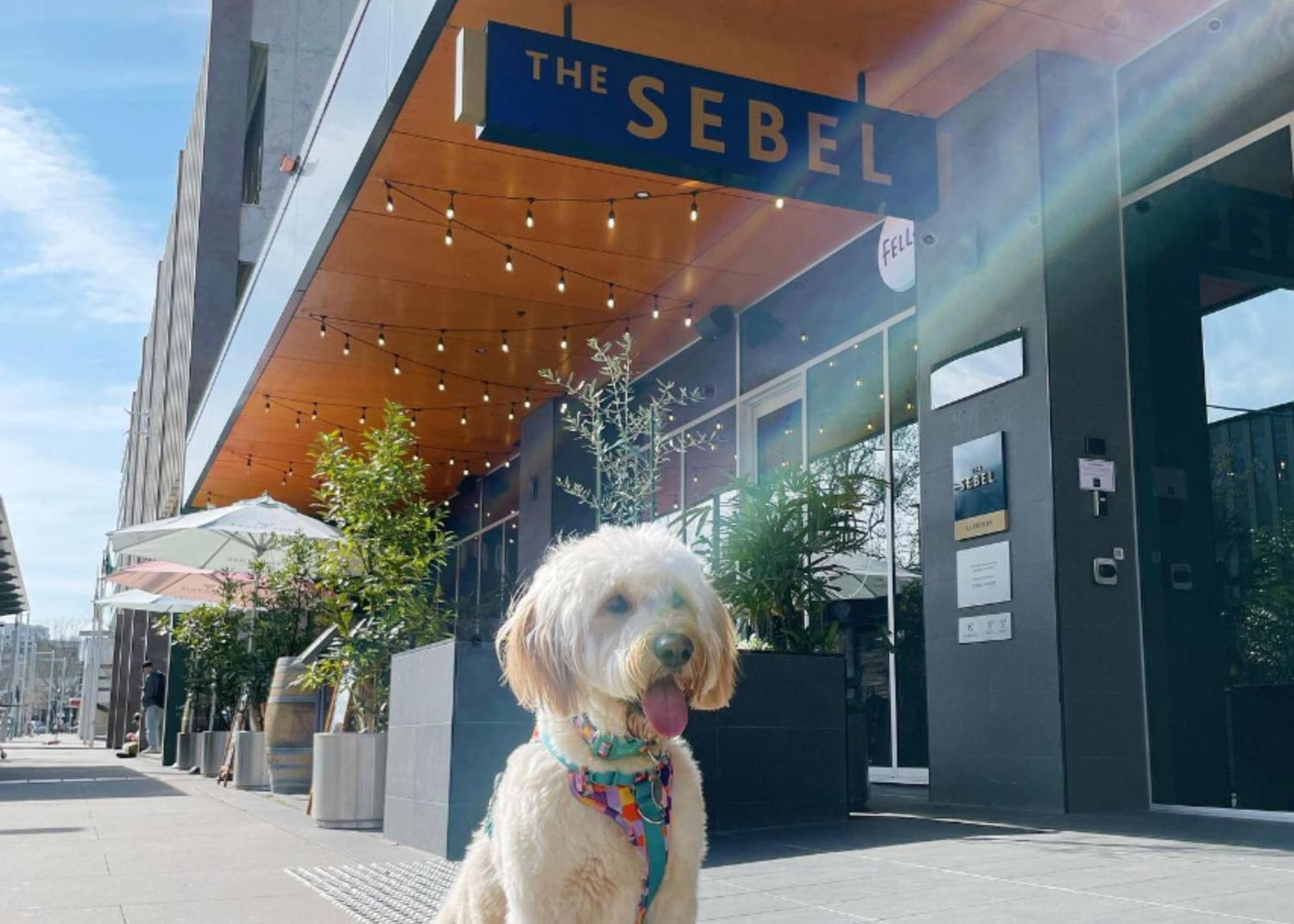 The Sebel Canberra Civic Exterior photo